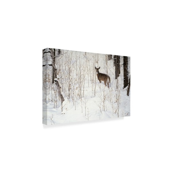 Ron Parker 'Deep Snow Whitetail' Canvas Art,12x19